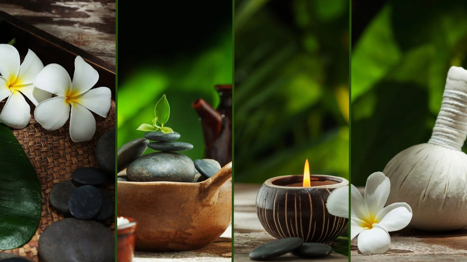 Revitalizing Properties of Shatavari: Promoting Relaxation for Body and Mind