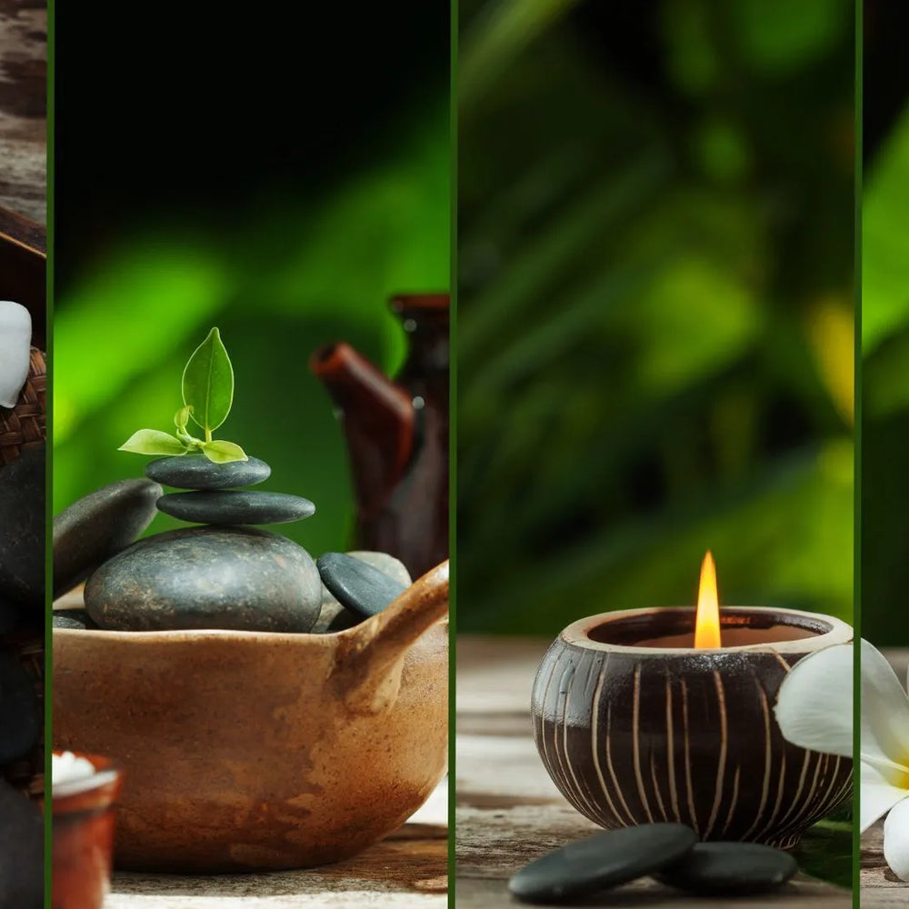 Revitalizing Shatavari: Unveiling the Astonishing Mind and Body Relaxation Benefits