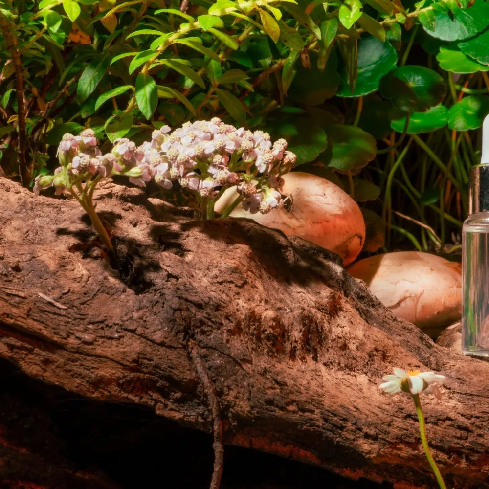 Hydration Comparison: Face Oil vs. Face Serum - Picking the Perfect Option for Your Skin