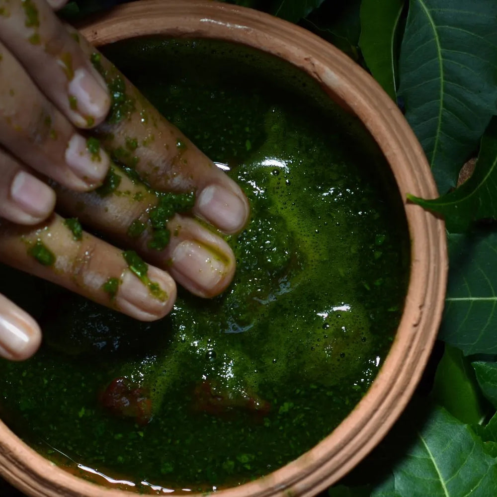 The Power of Neem: Unlocking its Skin, Hair, and Wellness Benefits