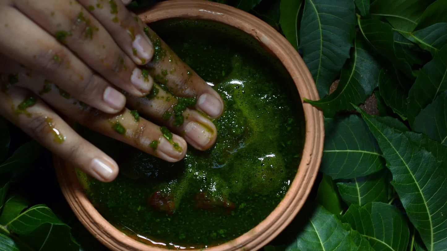 The Power of Neem: Unlocking its Skin, Hair, and Wellness Benefits