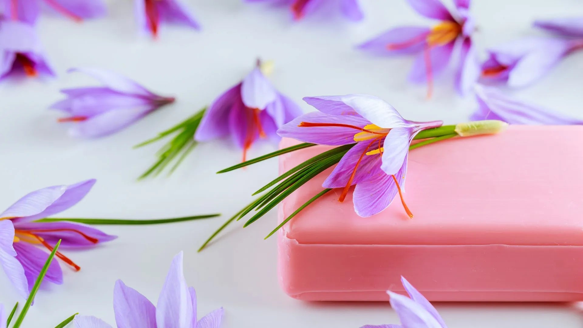 Saffron Revealed: Unveiling its Uses, Benefits, and Natural Properties