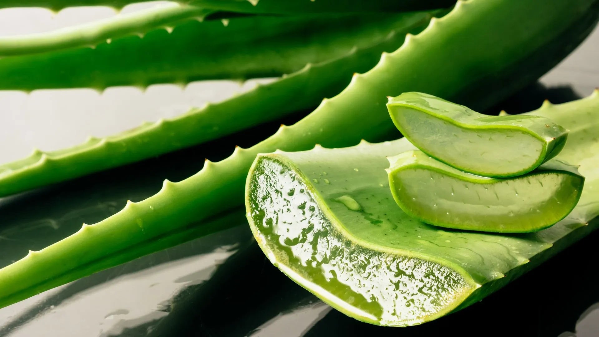 Exploring Aloe Vera's Potential as a Moisturizing Agent