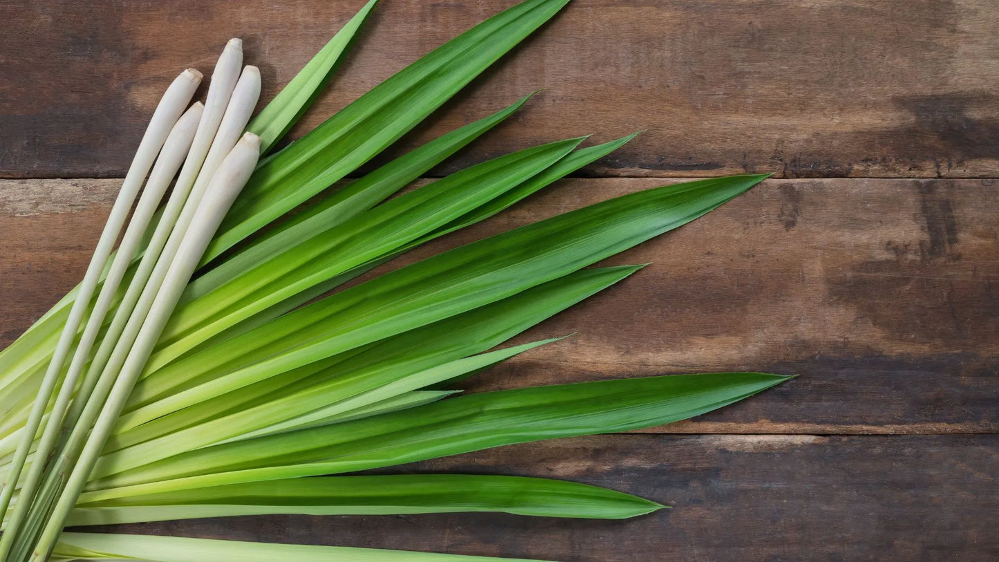 Lemongrass Essential Oil: Unveiling the Skin Benefits of This Aromatic Elixir