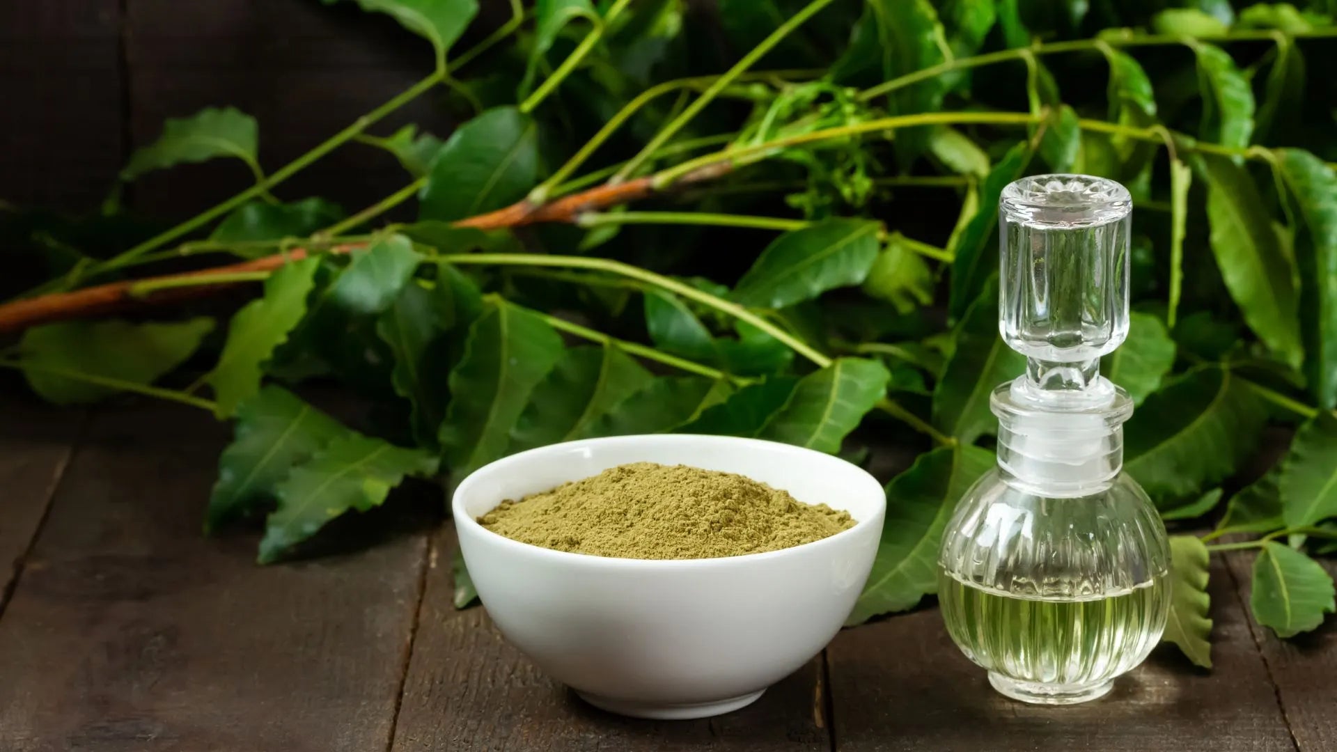 Natural Dental Care: Harnessing Neem Powder's Power for Healthy Teeth