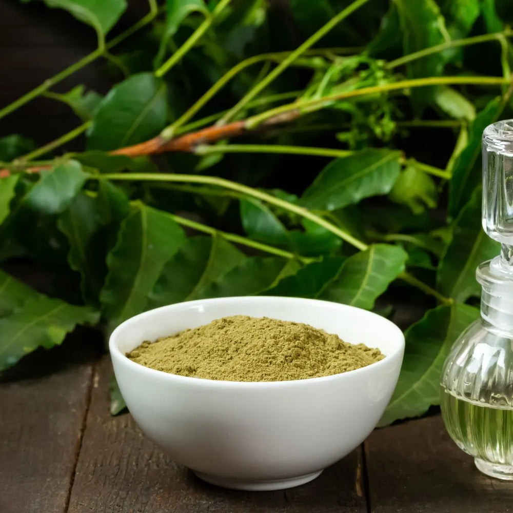 Effective Dental Care: Utilizing Neem Powder for Teeth Health