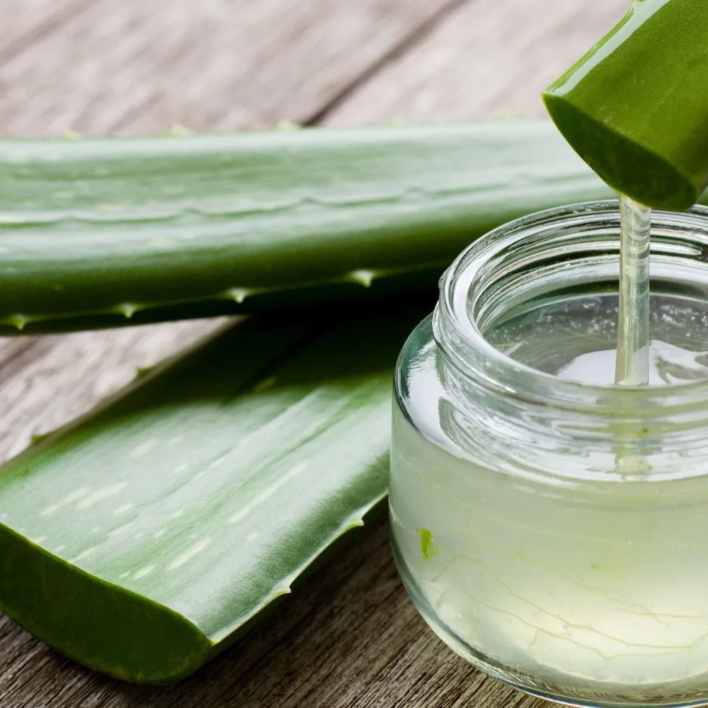 Aloe Vera Gel: Pore-Clogging Concerns