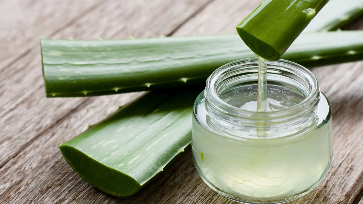 Aloe Vera Gel: Pore-Clogging Concerns