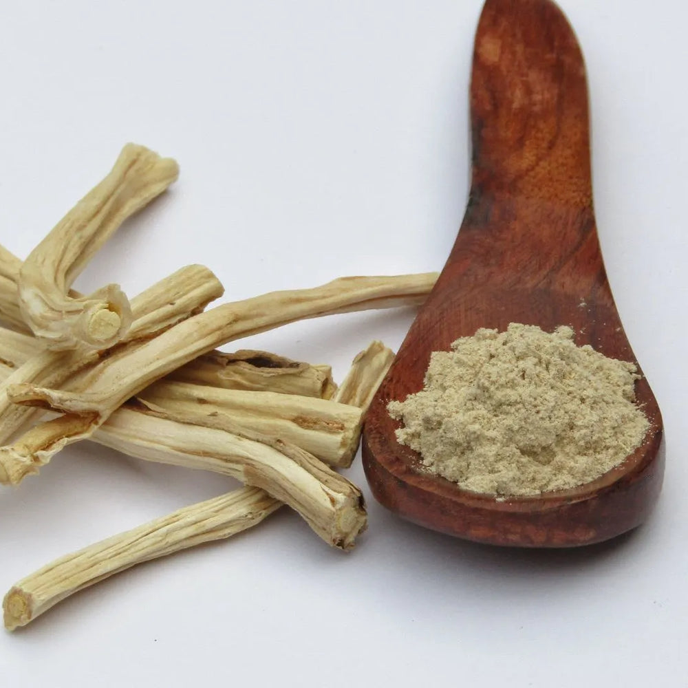 Exploring Shatavari Root's Health Benefits: Unveiling Ayurvedic Secrets