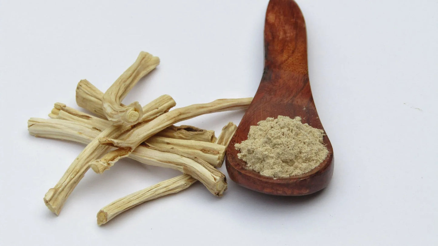 Exploring Shatavari Root's Health Benefits: Unveiling Ayurvedic Secrets