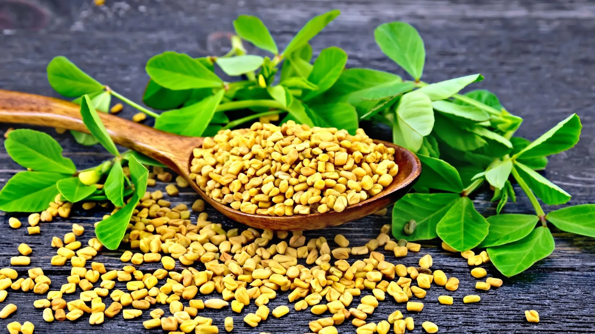 Ayurvedic Wonders of Fenugreek: Unveiling the Complete Benefits and Magic