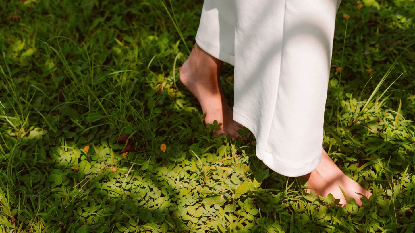 Ayurvedic Diet for Weight Loss: Unlocking the Benefits of Ancient Healing Methods